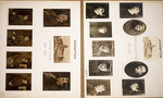 Assumption College Class of 1923 by Assumption College